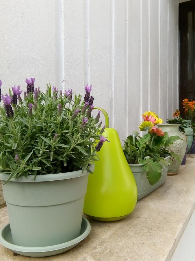 Aquarius Rome Bed & Breakfast ภายนอก รูปภาพ